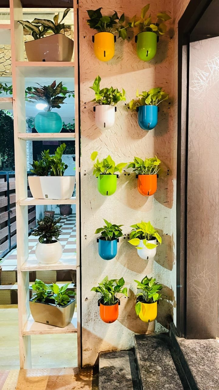 Vertical Garden